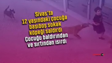 Sivas’ta 12 yaşındaki çocuğa başıboş sokak köpeği saldırdı Çocuğu baldırından ve sırtından ısırdı