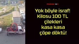 Yok böyle israf! Kilosu 100 TL çilekleri kasa kasa çöpe döktü!