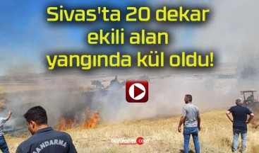 Sivas’ta 20 dekar ekili alan yangında kül oldu!