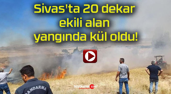 Sivas’ta 20 dekar ekili alan yangında kül oldu!