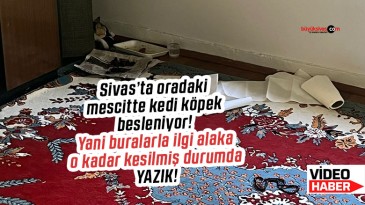 Sivas’ta mescide saygısızlık! Sivas Belediyesi yetkilileri göreve!