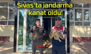 Sivas’ta jandarma kanat oldu!