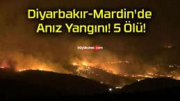 Diyarbakır-Mardin’de Anız Yangını! 5 Ölü!