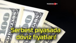 Serbest piyasada döviz fiyatları!