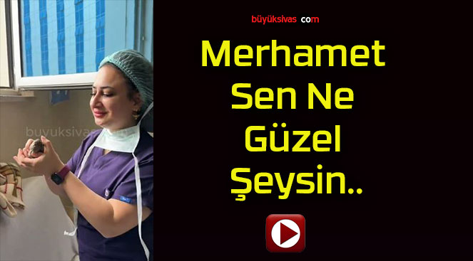 Merhamet Sen Ne Güzel Şeysin..