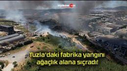 Tuzla’daki fabrika yangını ağaçlık alana sıçradı!