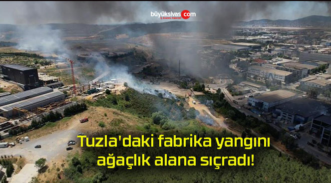 Tuzla’daki fabrika yangını ağaçlık alana sıçradı!