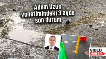 Ördeklerin yüzdüğü Paşafabrikası’ndan leş kargalarının uçtuğu Paşafabrikası’na