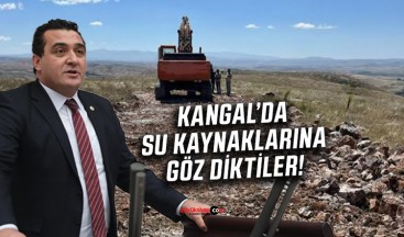 Karasu “Kangal’da su kaynaklarına göz diktiler…”