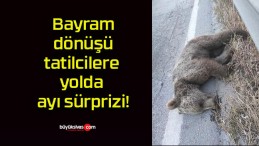 Bayram dönüşü tatilcilere yolda ayı sürprizi!