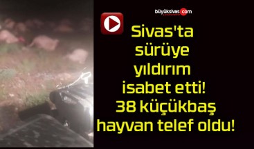 Sivas’ta sürüye yıldırım isabet etti! 38 küçükbaş hayvan telef oldu!