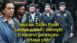 Savcılık ‘Dilan Polat tahliye edilsin’ demişti! O kararın gerekçesi ortaya çıktı!