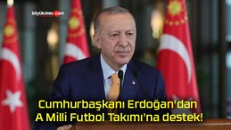 Cumhurbaşkanı Erdoğan’dan A Milli Futbol Takımı’na destek!