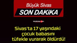Sivas’ta 17 yaşındaki çocuk babasını tüfekle vurarak öldürdü!