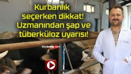 Kurbanlık seçerken dikkat! Uzmanından şap ve tüberküloz uyarısı!