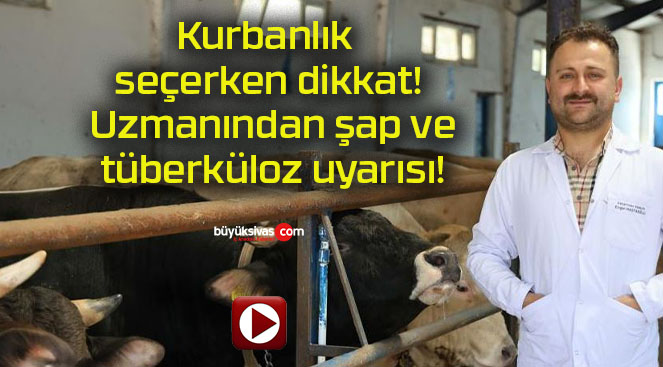 Kurbanlık seçerken dikkat! Uzmanından şap ve tüberküloz uyarısı!