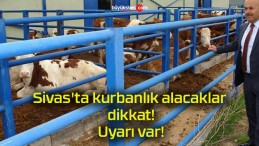 Sivas’ta kurbanlık alacaklar dikkat! Uyarı var!