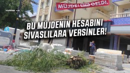 Sivas’ta Ağaç Katliamı: “Müjde Bim Geldi” Yemyeşil Ağaç Kesildi