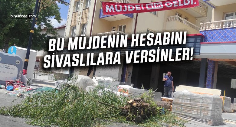 Sivas’ta Ağaç Katliamı: “Müjde Bim Geldi” Yemyeşil Ağaç Kesildi