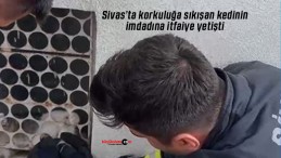 Sivas’ta korkuluğa sıkışan kedinin imdadına itfaiye yetişti