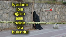 İş adamı iple ağaca asılı halde ölü bulundu!