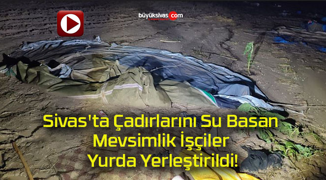 Sivas’ta Çadırlarını Su Basan Mevsimlik İşçiler Yurda Yerleştirildi!