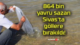 864 bin yavru sazan Sivas’ta göllere bırakıldı!