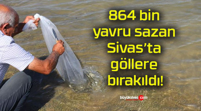 864 bin yavru sazan Sivas’ta göllere bırakıldı!