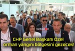 CHP Genel Başkanı Özel orman yangını bölgesini gezecek!