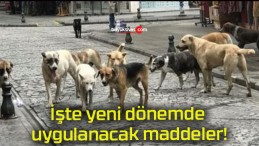 İşte yeni dönemde uygulanacak maddeler!