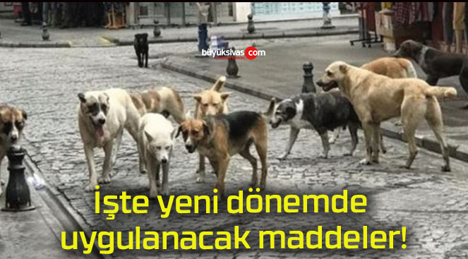 İşte yeni dönemde uygulanacak maddeler!