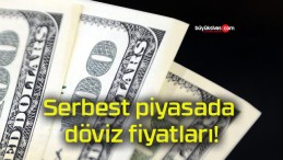 Serbest piyasada döviz fiyatları!