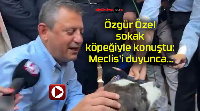 Özgür Özel sokak köpeğiyle konuştu: Meclis’i duyunca…