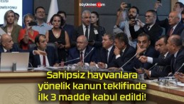 Sahipsiz hayvanlara yönelik kanun teklifinde ilk 3 madde kabul edildi!