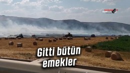 Sivas’ta saman balyalarıyla birlikte umutlar da küle döndü