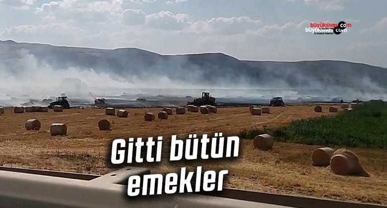 Sivas’ta saman balyalarıyla birlikte umutlar da küle döndü