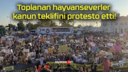 Toplanan hayvanseverler kanun teklifini protesto etti!