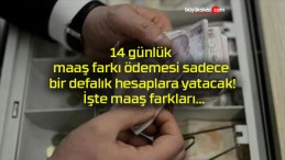 14 günlük maaş farkı ödemesi sadece bir defalık hesaplara yatacak! İşte maaş farkları…