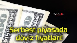 Serbest piyasada döviz fiyatları!