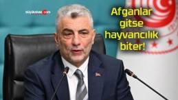 Afganlar gitse hayvancılık biter!