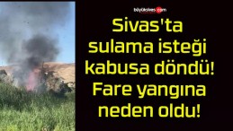 Sivas’ta sulama isteği kabusa döndü! Fare yangına neden oldu!