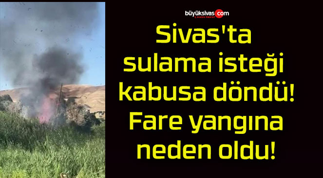 Sivas’ta sulama isteği kabusa döndü! Fare yangına neden oldu!