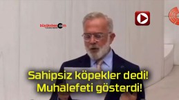 Sahipsiz köpekler dedi! Muhalefeti gösterdi!