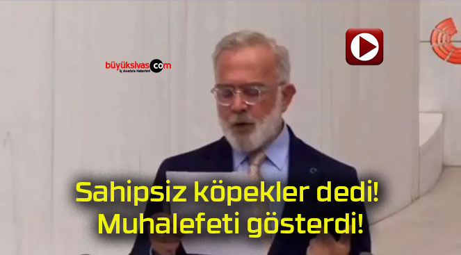 Sahipsiz köpekler dedi! Muhalefeti gösterdi!