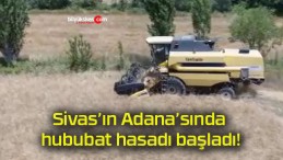 Sivas’ın Adana’sında hububat hasadı başladı!