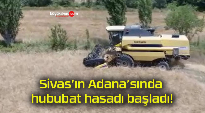 Sivas’ın Adana’sında hububat hasadı başladı!