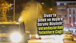 Sivas’ta Sinek ve Haşere Sorunu Büyüyor: Vatandaşlardan Yetkililere Çağrı