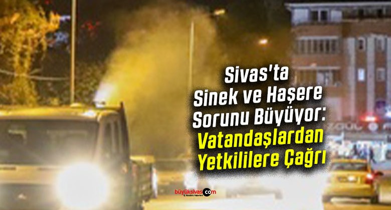 Sivas’ta Sinek ve Haşere Sorunu Büyüyor: Vatandaşlardan Yetkililere Çağrı