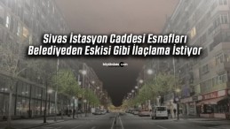 Sivas İstasyon Caddesi Esnafları Belediyeden İlaçlama İstiyor