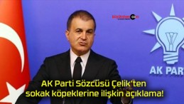 AK Parti Sözcüsü Çelik’ten sokak köpeklerine ilişkin açıklama!